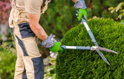 Landscape Contractor - Contractors Near Me Naugatuck, Connecticut